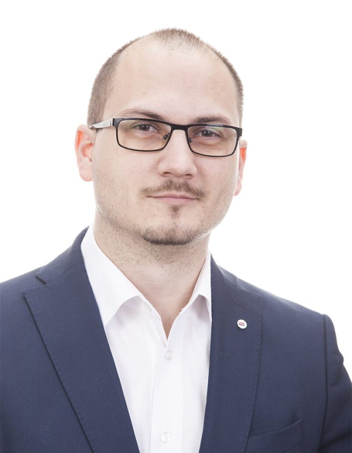 bestomod_fulop_laszlo_portre
